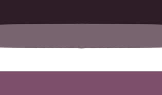 Asexual flag from Fusakin image